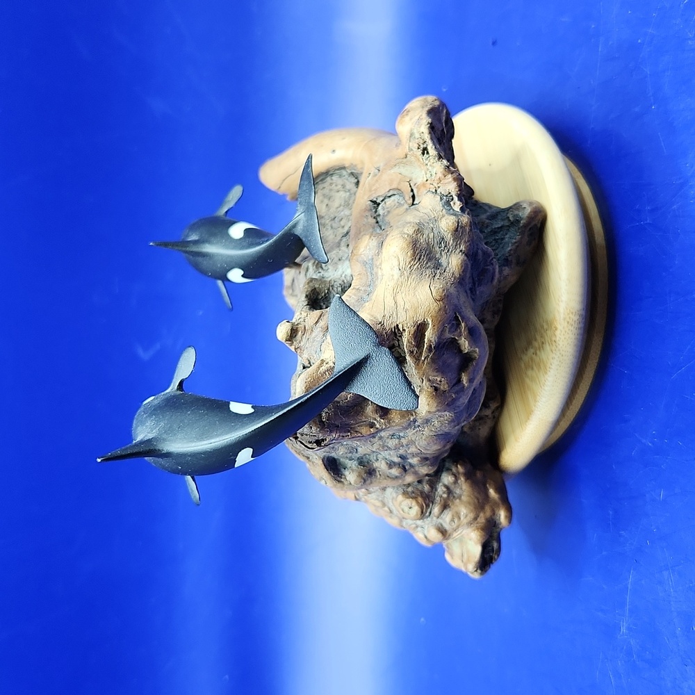 John Perry Orca Killer Whale Duo Sculpture on Burl Wood - Picture 4 of 8
